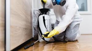 Best Residential Pest Control  in Woodmere, NY